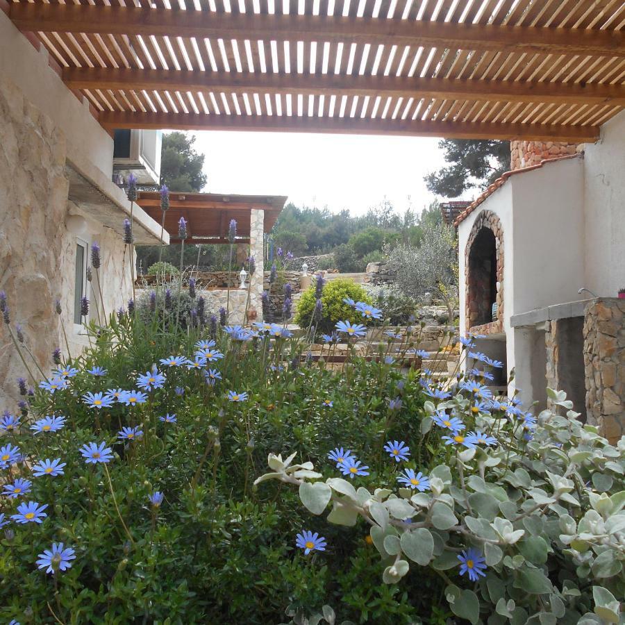 Apartments-Estate Under The Paintbrush Vis Extérieur photo